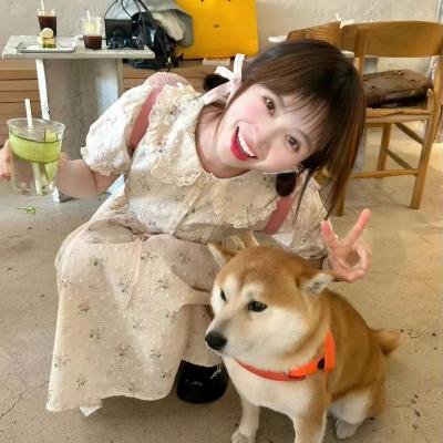 加菲猫国语