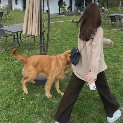 扫兴者第二季